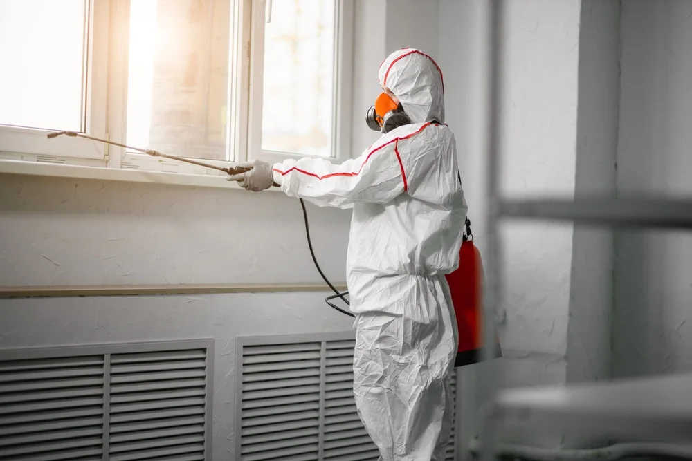 Professional mold remediation services in Hollister, FL